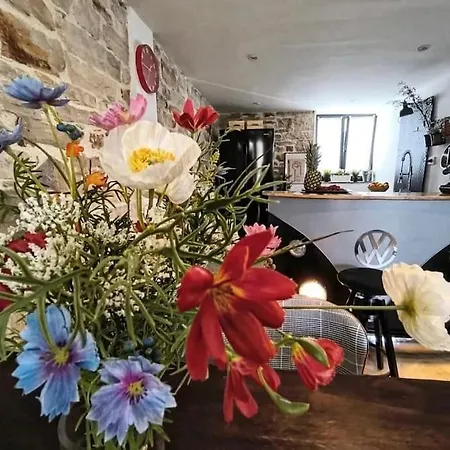 Big Oasis House With Garden,near Colosseum Daire *