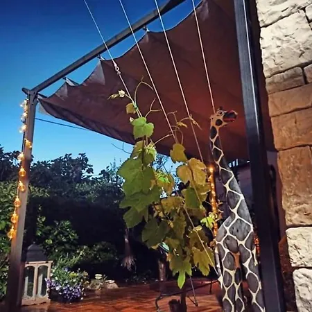 Daire Big Oasis House With Garden,near Colosseum *