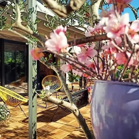 Big Oasis House With Garden,near Colosseum Daire *
