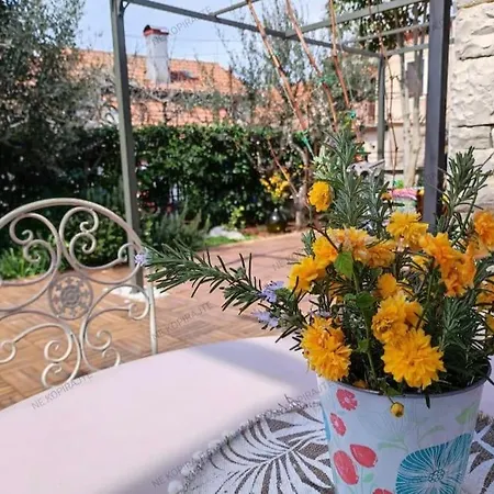 Daire Big Oasis House With Garden,near Colosseum