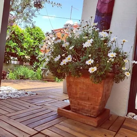 Apartment Big Oasis House With Garden,near Colosseum *